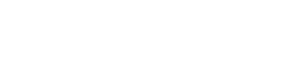 Logo - Whynotrips-05
